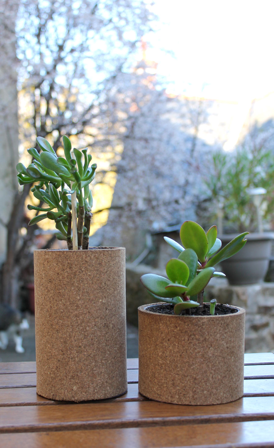 pots de fleur en liège