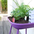 potager de terrase