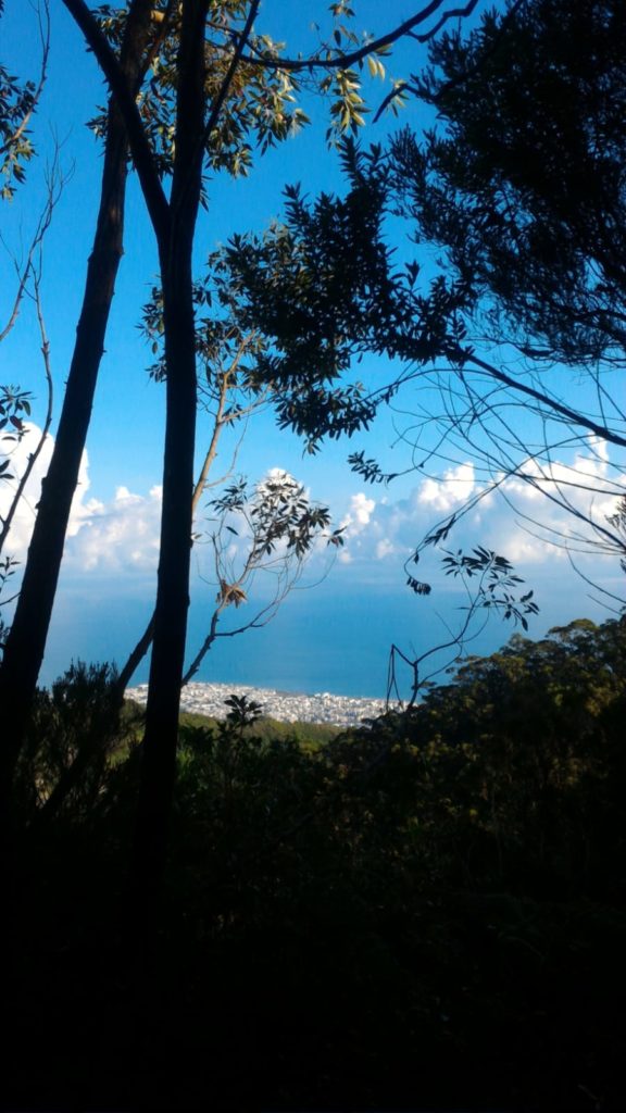 piton bois de nèfles - Saint denis de la reunion