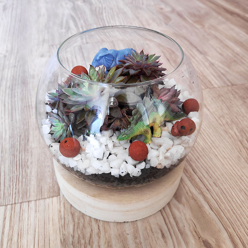 offrez un petit terrarium comme cadeau de fin d'année à la maitresse