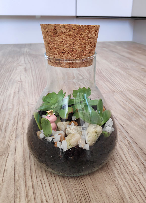 Créez un terrarium pour offrir comme cadeau original