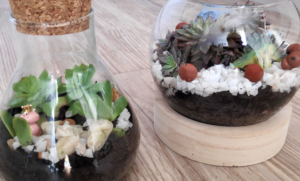 mini terrarium