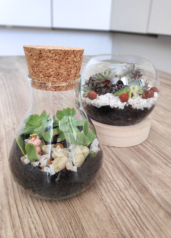 mini terrarium dans un verre