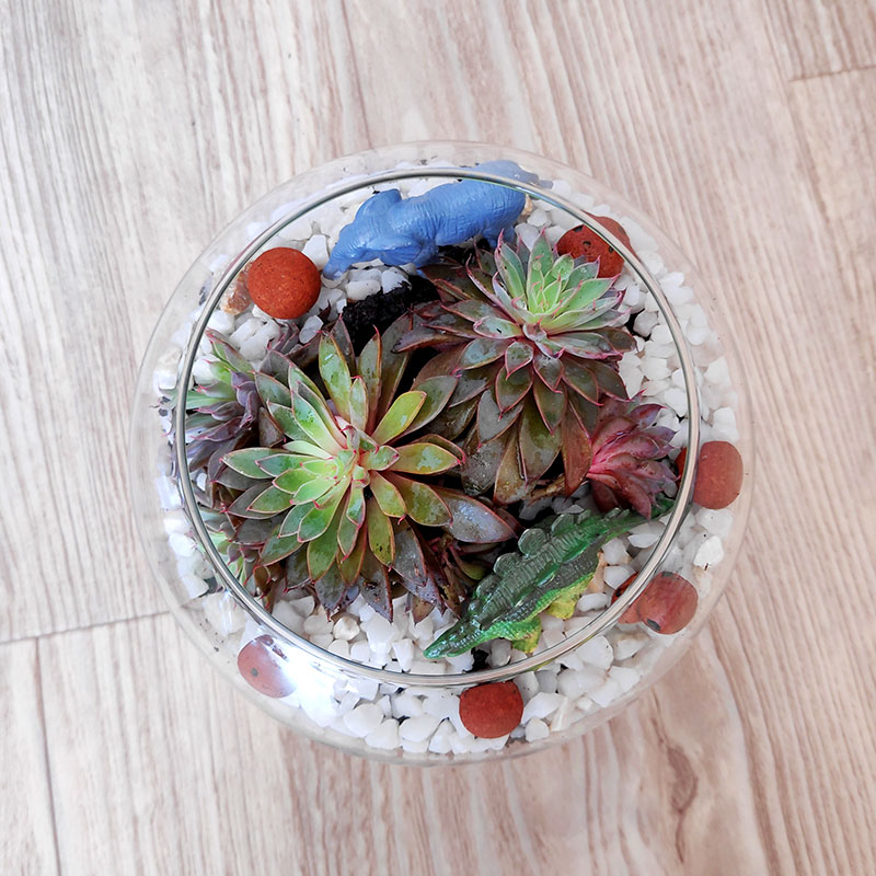 DIY création d'un terrarium